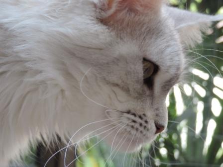 Photo Hariett - 20140408