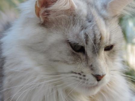 Photo Hariett - 20140408