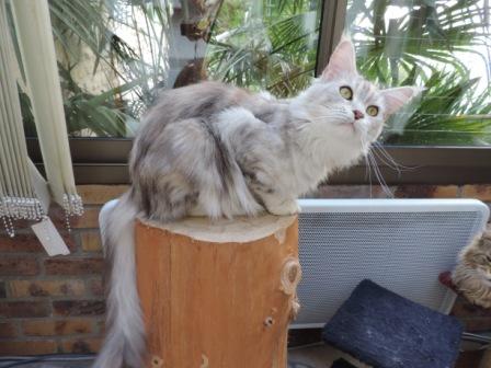 Photo Hariett - 20140408