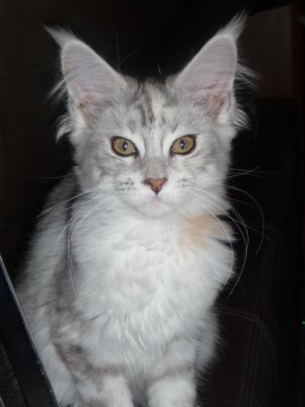 Photo Hariett février 2013