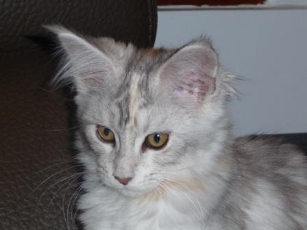 Photo Hariett - Janvier 2013