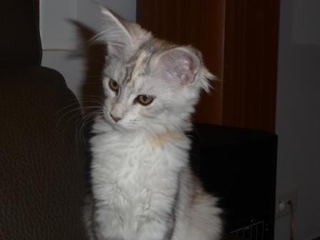 Photo Hariett - Janvier 2013