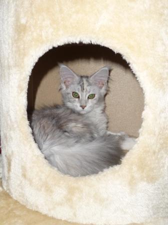 Photo Hariett - Janvier 2013