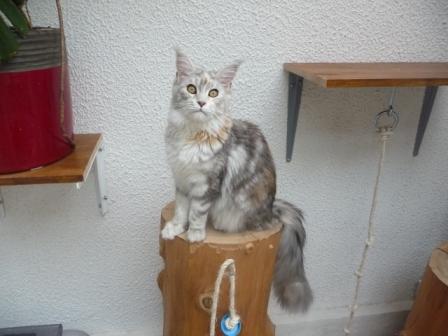 Photo Hariett - Mai 2013