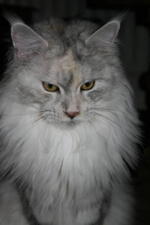 Photo mère Hariett
