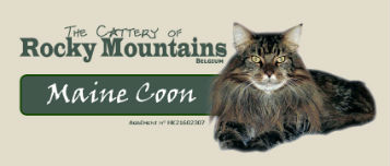 The cattery of Rocky Mountains